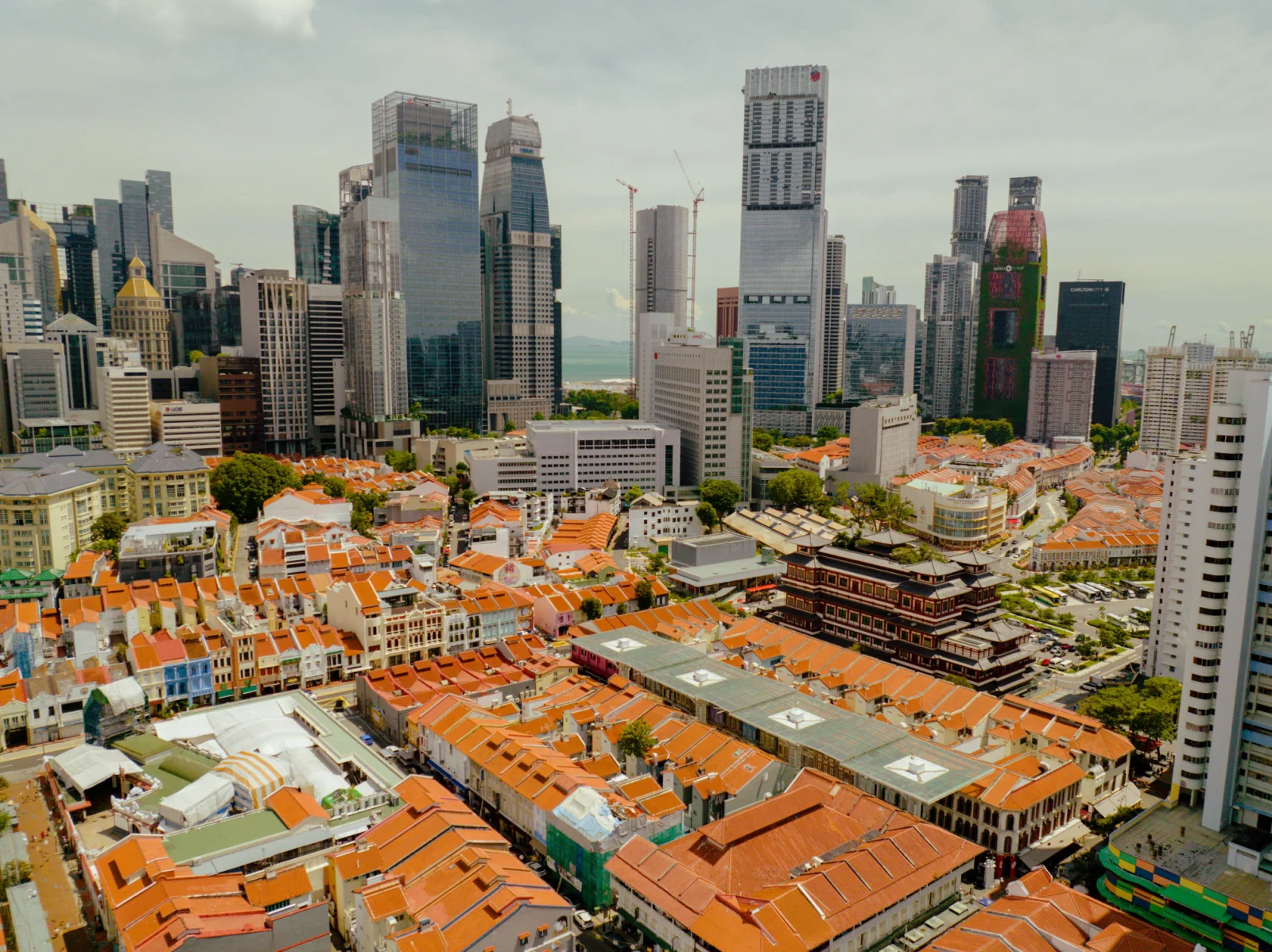 Driving the Evolution of Modern Cities